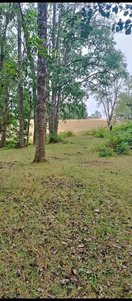 Gran oportunidad.vendo parcela sector tegualda.rol propio llegar y escriturar..