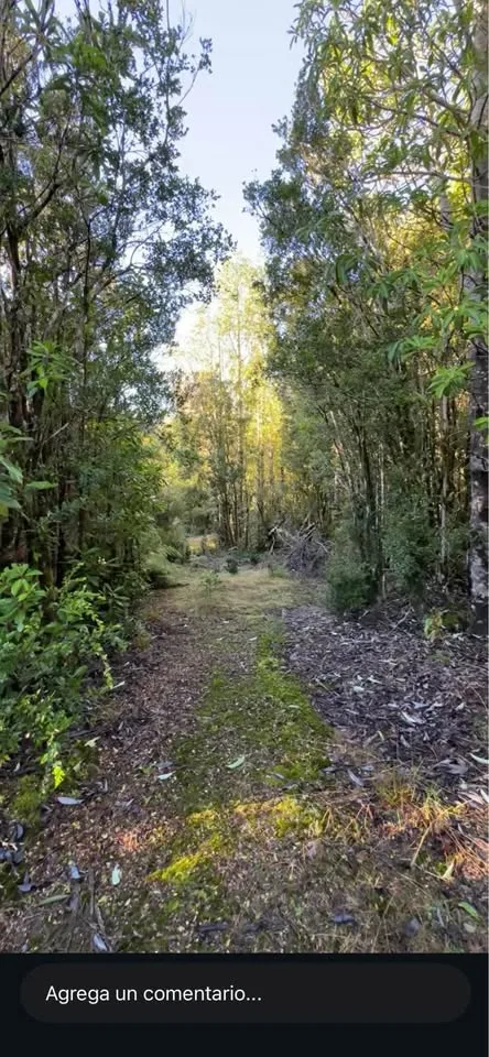 Parcela 5000m² en La Junta