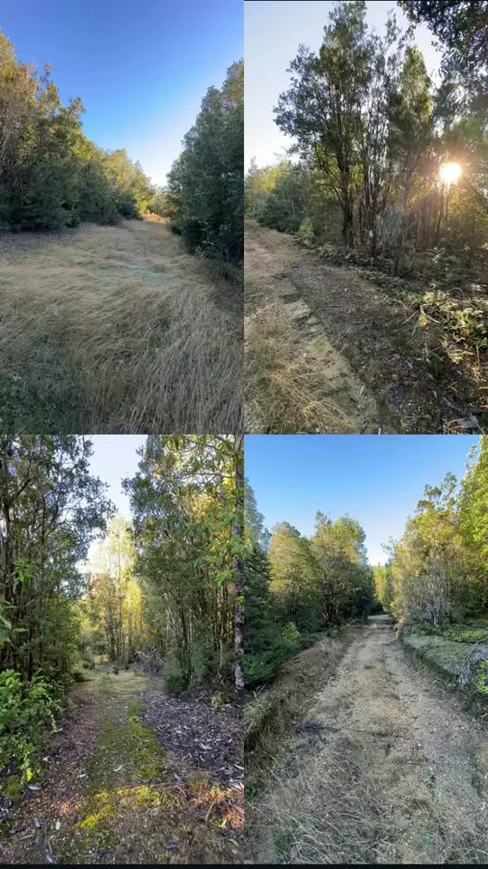 Parcela en Venta en La Junta | 5000 m² | $12.000.000 - 4