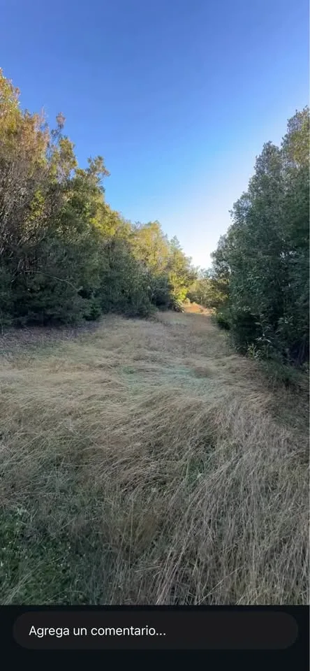 Parcela en Venta en La Junta | 5000 m² | $12.000.000 - 5