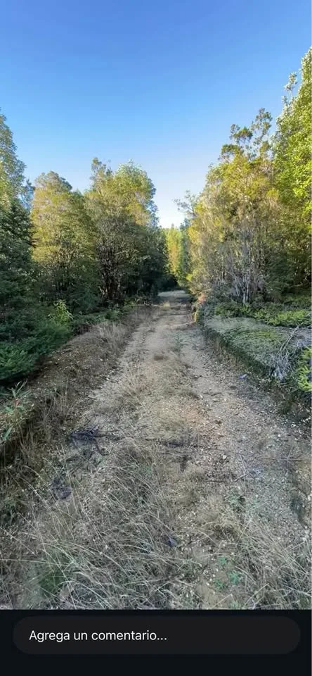Parcela en Venta en La Junta | 5000 m² | $12.000.000 - 6