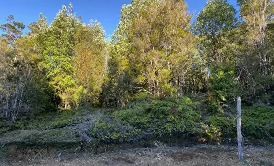 Parcela en Venta en La Junta | 5000 m² | $12.000.000 - 7