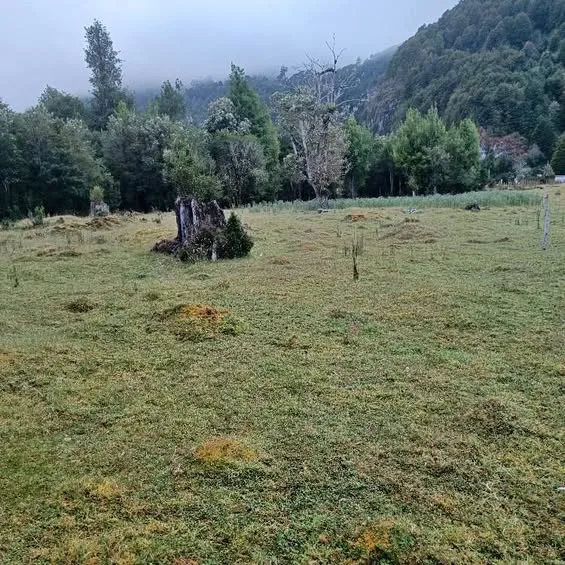 Parcela en Venta en La Junta | $30.000.000