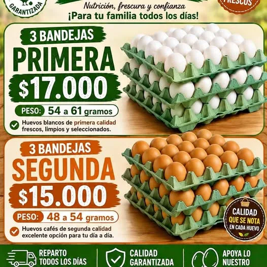 Parcela en Venta en La Junta | $10.000.000 - 26