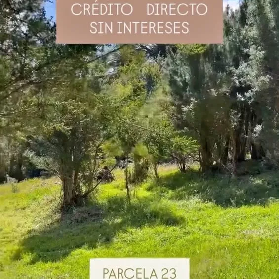 Parcela en alto pangal 8mil l2