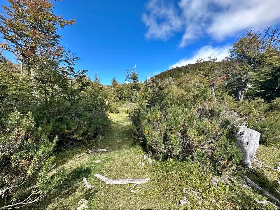 Venta de parcela en El Richard