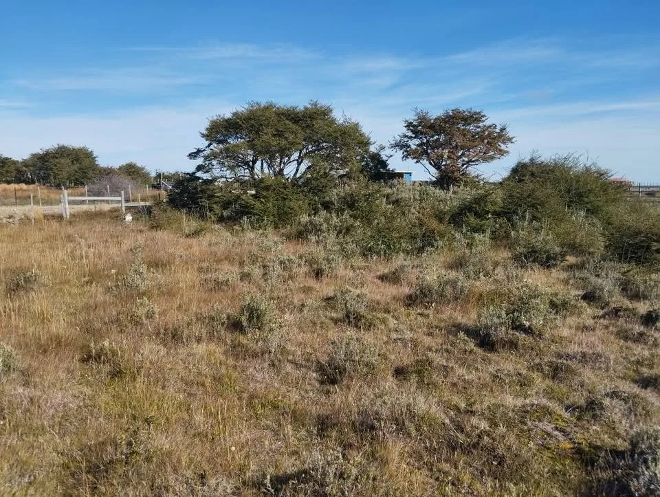 Parcela en Venta en Villa O'Higgins | $19.000.000 - 5