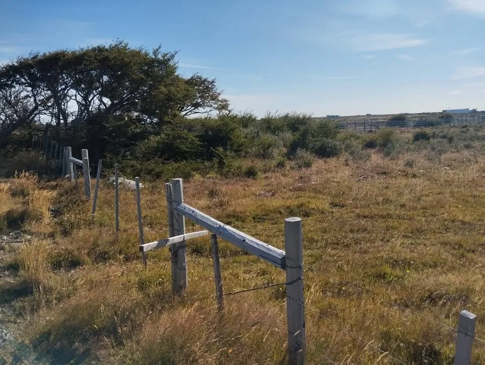 Parcela en Venta en Villa O'Higgins | $19.000.000 - 8