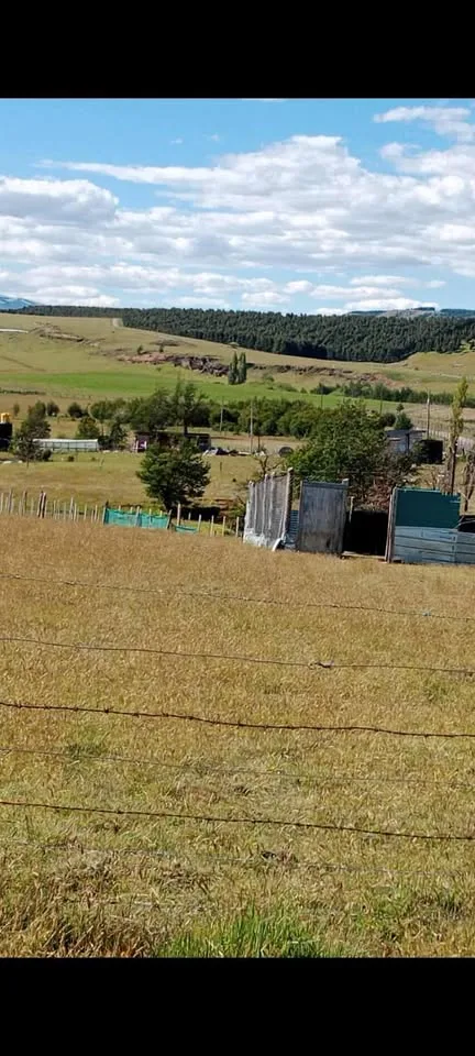 Parcela en Venta en Villa O'Higgins | $80.000.000 - 4