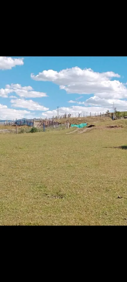 Parcela en Venta en Villa O'Higgins | $80.000.000 - 5