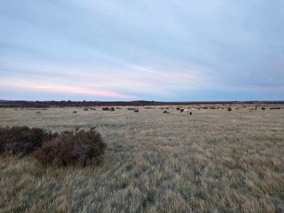 Terreno en Cochrane