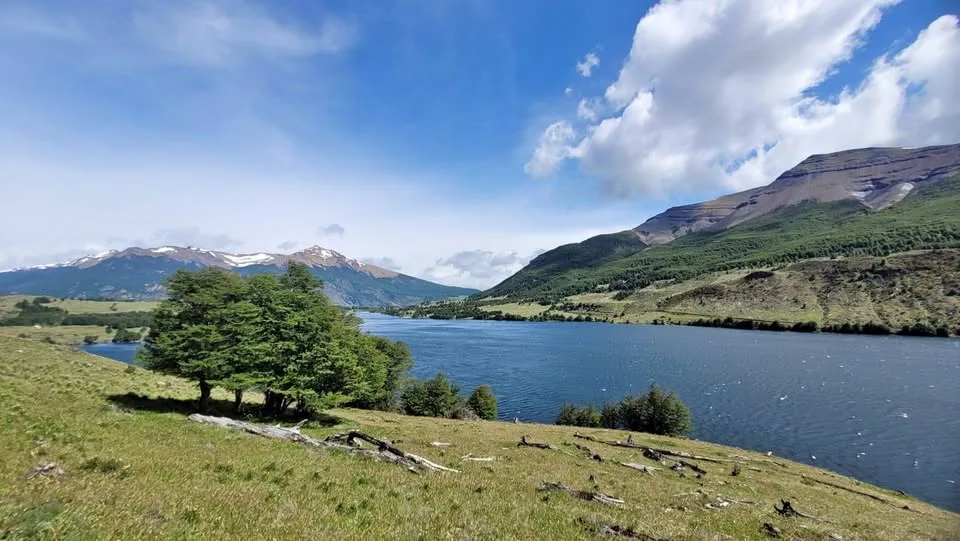 OPORTUNIDAD: Terreno 5.000 mt2 con mas de 40 mts de orilla de lago. En lago Monreal / Coyhaique.