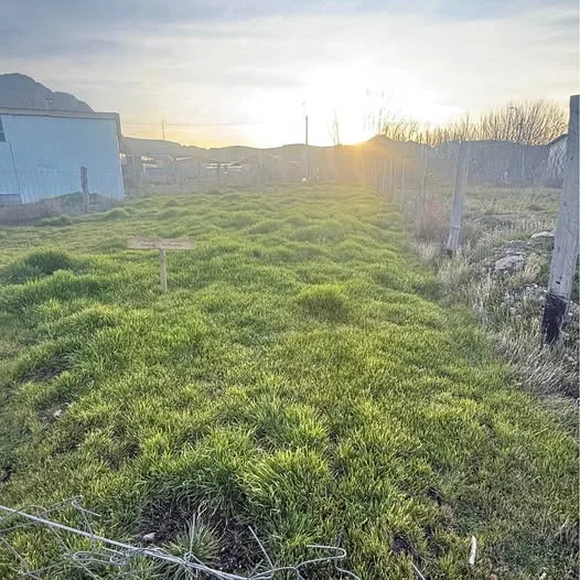Se vende terreno urbano ubicado en chile chico ,región de aysen