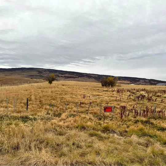 Terreno 5000m² en Cochrane