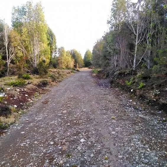 Queilén, Chiloé: Terreno 5.000 m2