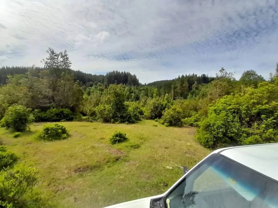 ¡LIQUIDACIÓN! Terreno de 5.879 m² con Rol Propio y Vertiente - Cerca de Valdivia