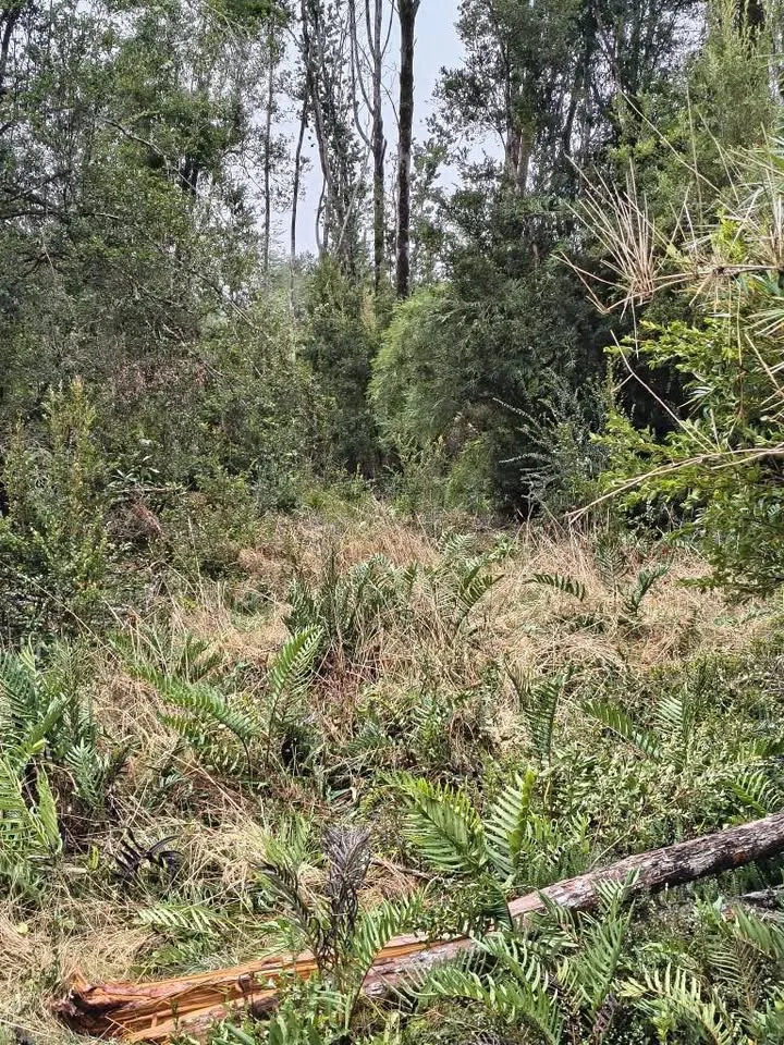 Terreno en Venta en La Junta | 600 m² | $5.300.000 - 4