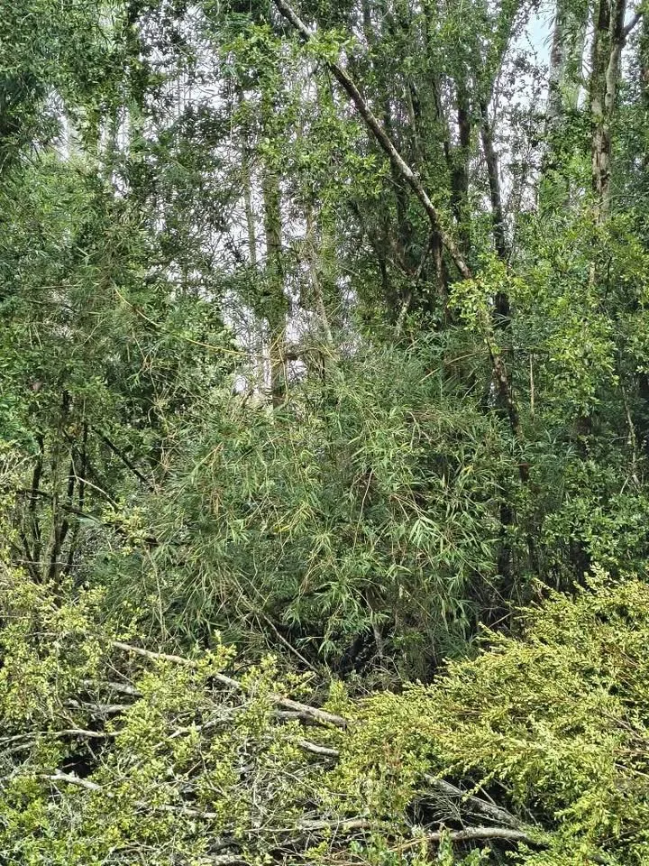 Terreno en Venta en La Junta | 600 m² | $5.300.000 - 7