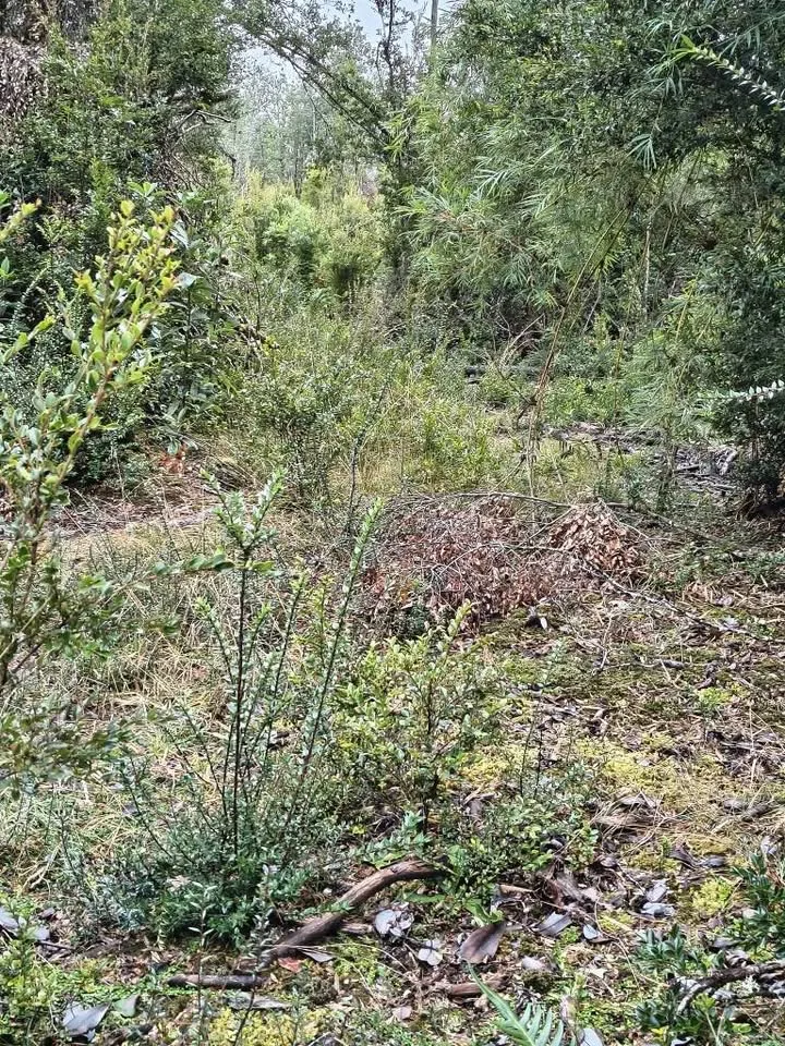 Terreno en Venta en La Junta | 600 m² | $5.300.000 - 8