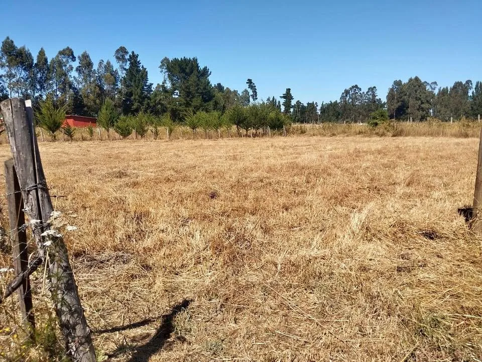 Terreno en La Junta