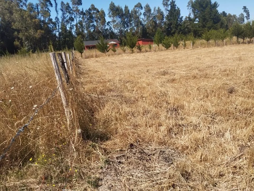 Terreno en Venta en La Junta | $10.000.000 - 4
