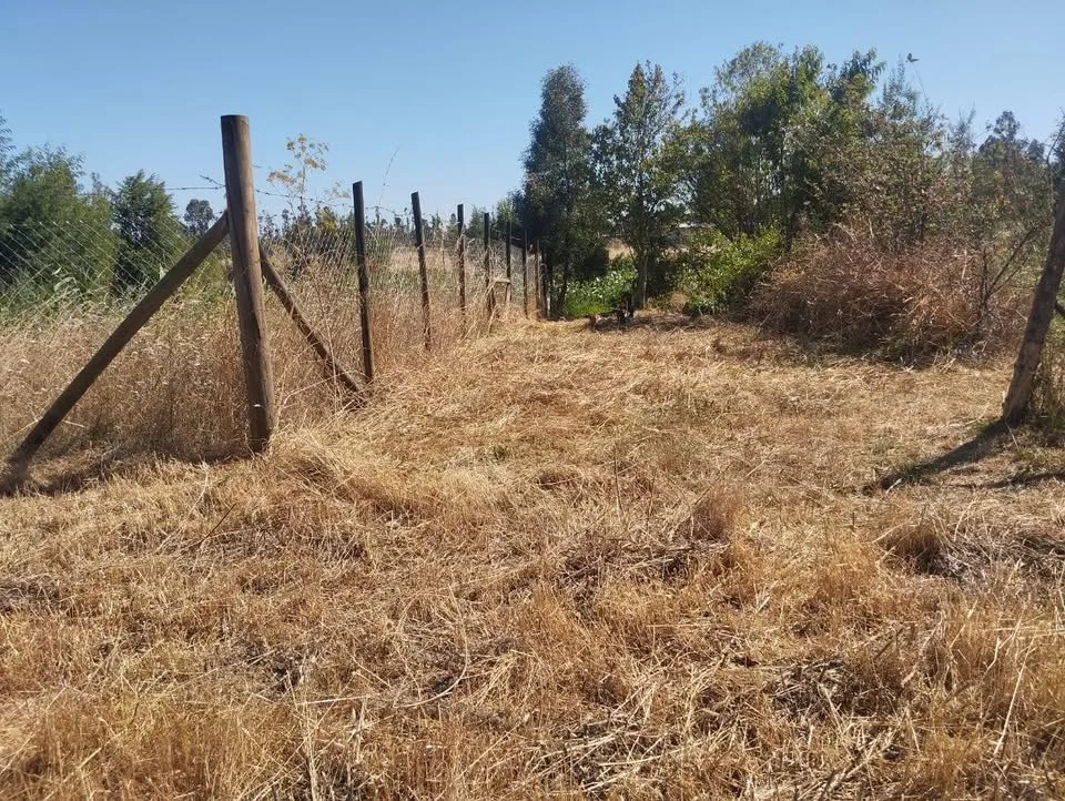 Terreno en Venta en La Junta | $10.000.000 - 5