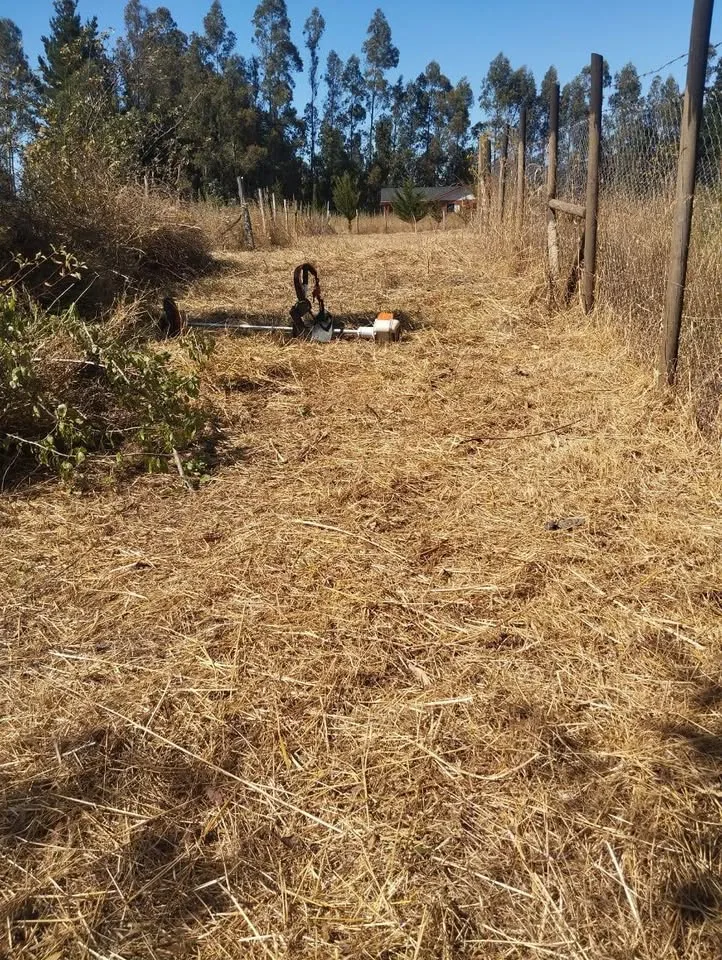 Terreno en Venta en La Junta | $10.000.000 - 7