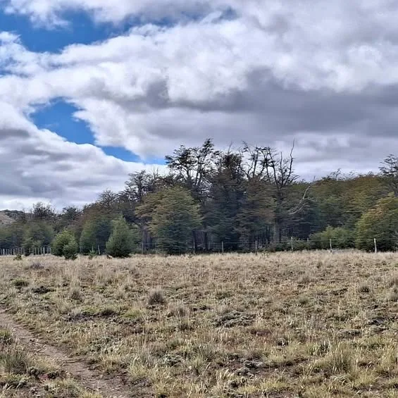 Terreno en Puerto Aysen