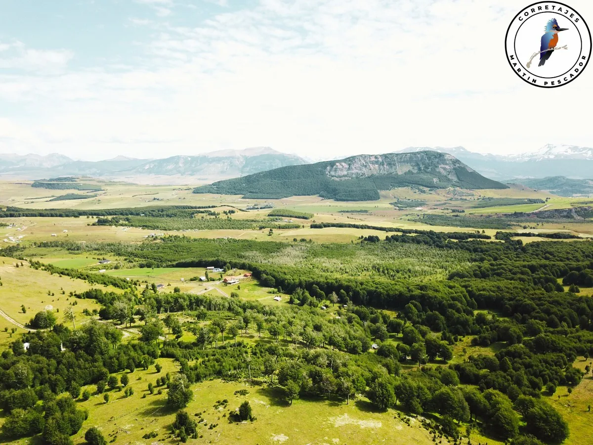 Terreno en Venta en Coyhaique | 60000 m² | $180.000.000 - 3
