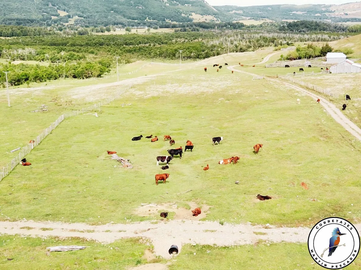 Terreno en Venta en Coyhaique | 60000 m² | $180.000.000 - 7
