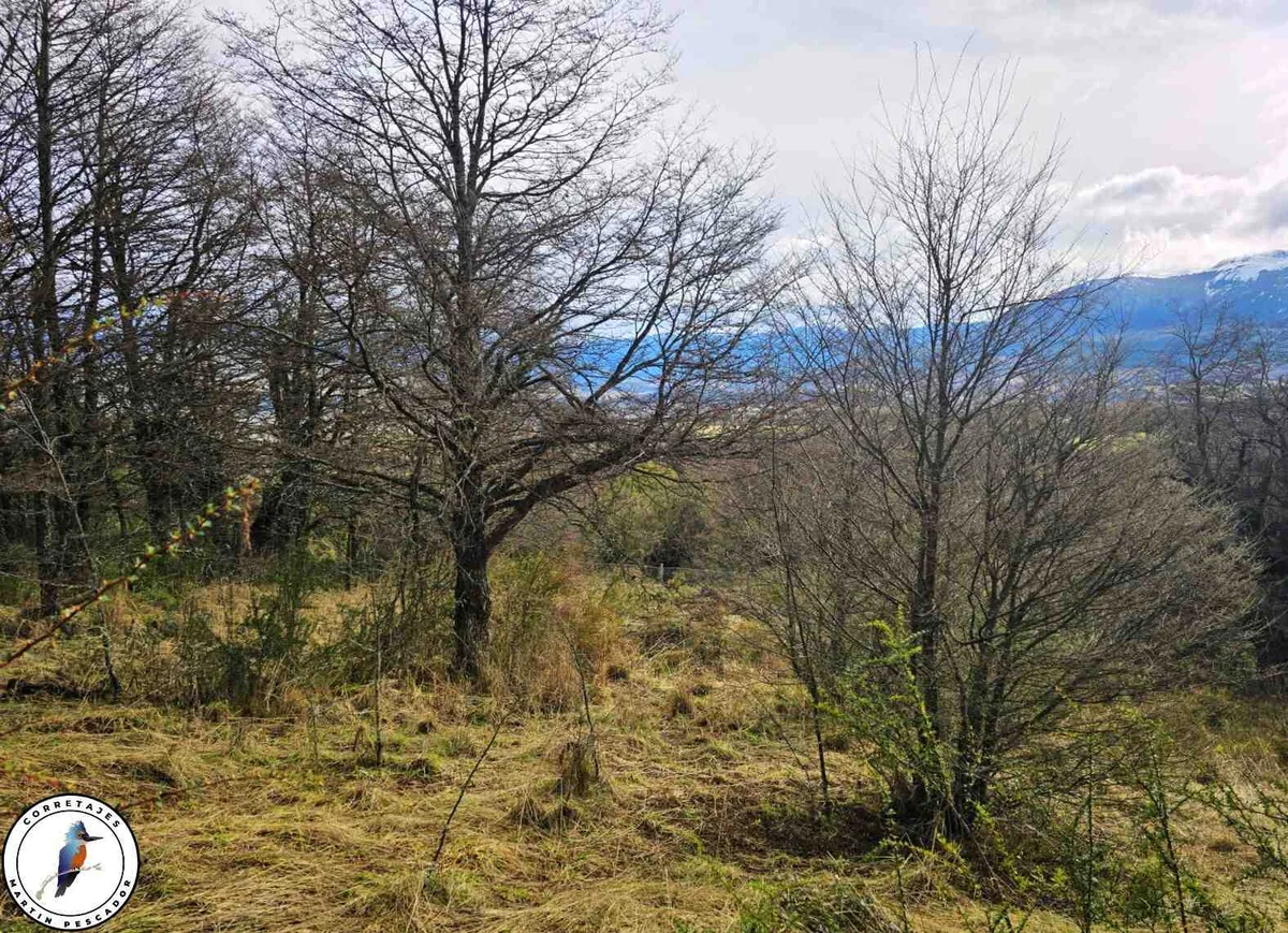Parcela en Venta en Coyhaique | 5500 m² | $65.000.000 - 6