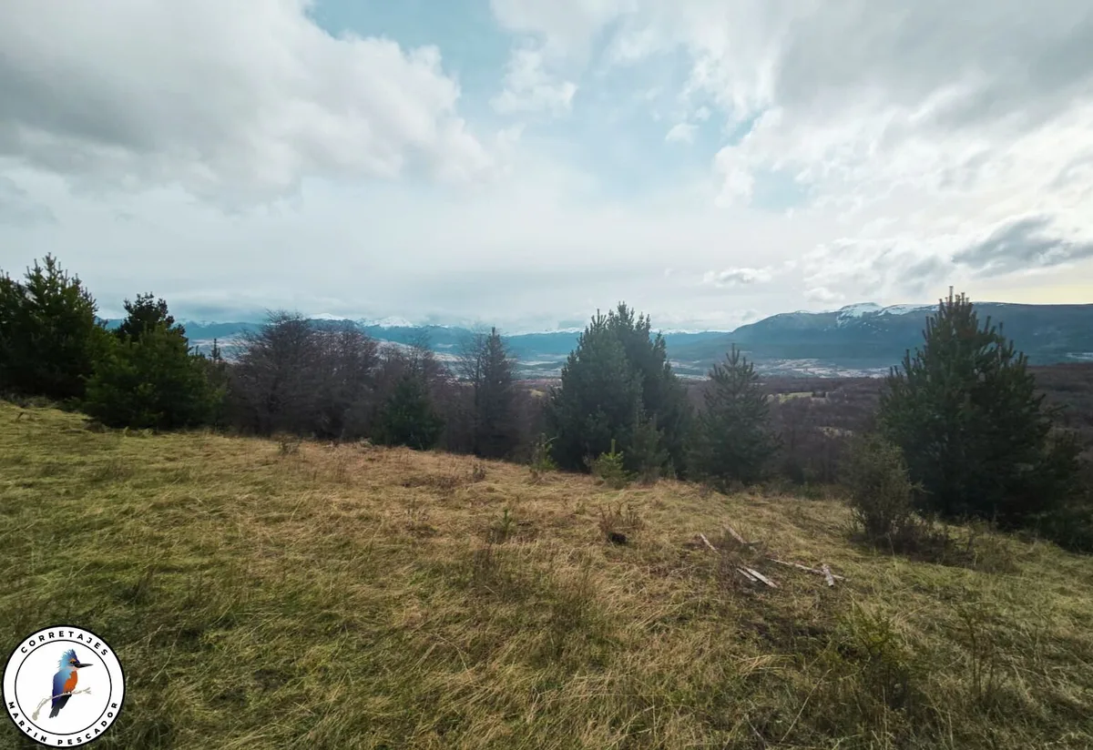 Parcela en Venta en Coyhaique | 5500 m² | $65.000.000 - 9