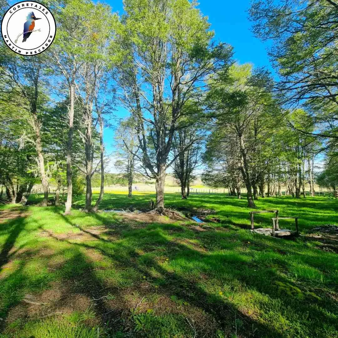 Parcela en Venta en Coyhaique | 1 Dormitorio | 1 Baño | 20000 m² | $105.000.000 - 2