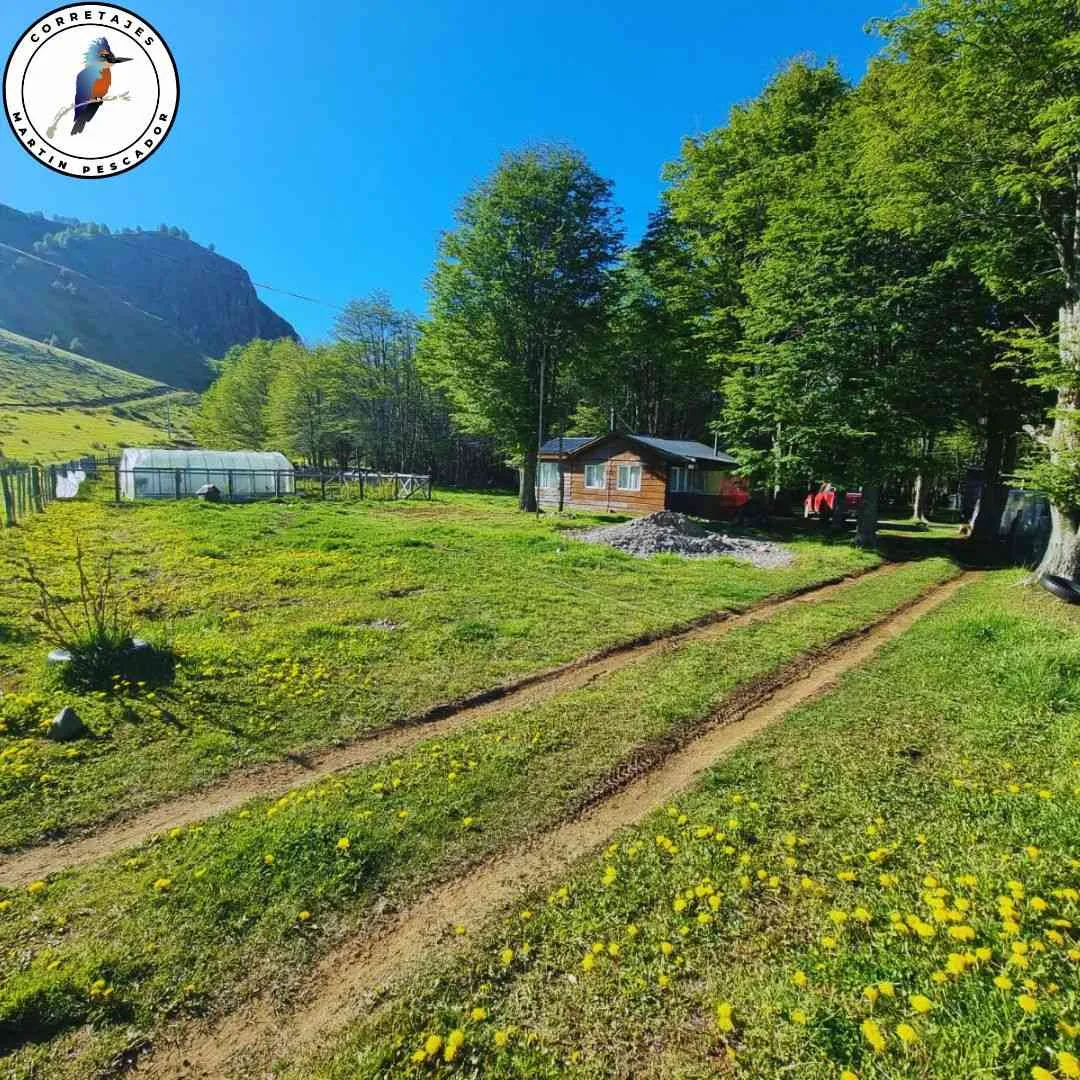 Parcela en Venta en Coyhaique | 1 Dormitorio | 1 Baño | 20000 m² | $105.000.000 - 4