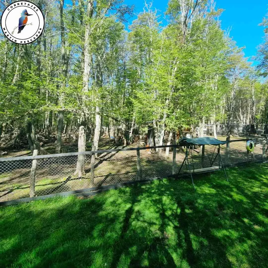 Parcela en Venta en Coyhaique | 1 Dormitorio | 1 Baño | 20000 m² | $105.000.000 - 5