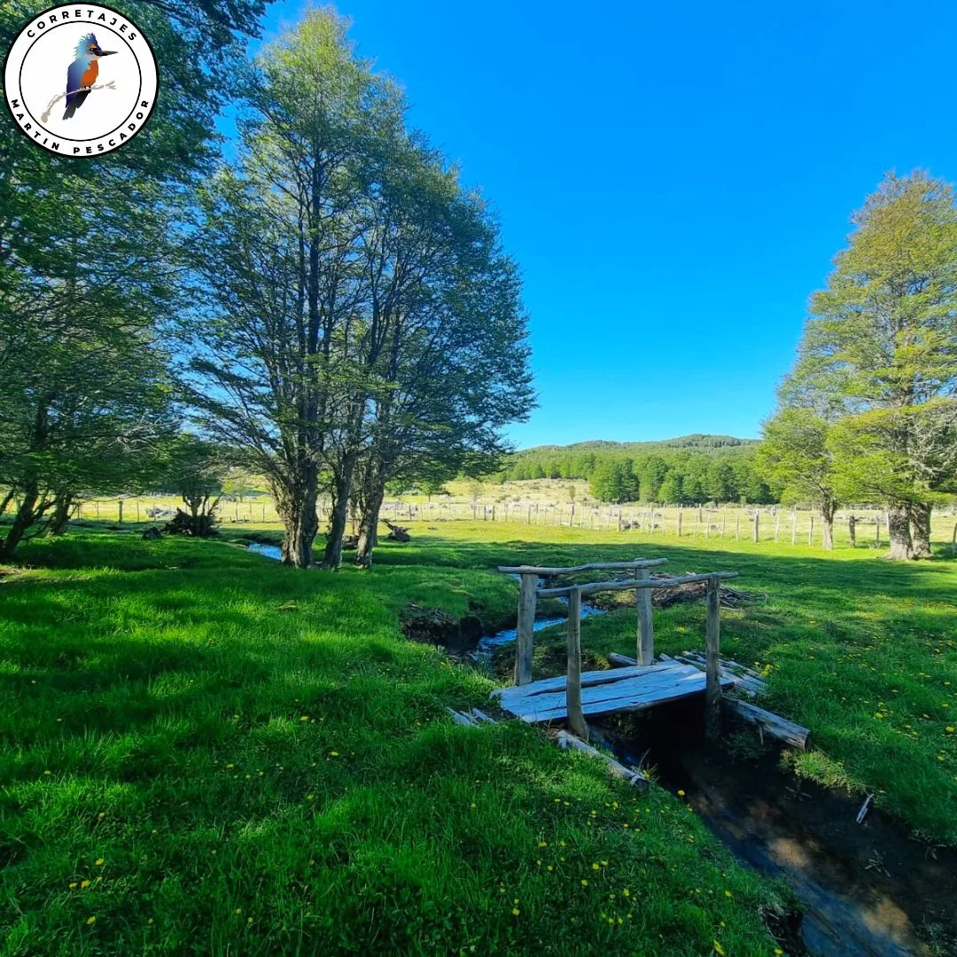 Parcela en Venta en Coyhaique | 1 Dormitorio | 1 Baño | 20000 m² | $105.000.000 - 10