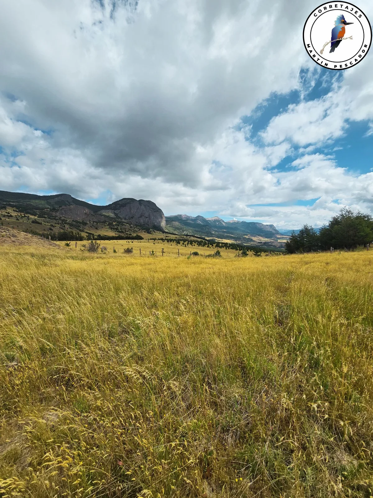 Parcela en Venta en Coyhaique | 5000 m² | $52.000.000 - 9