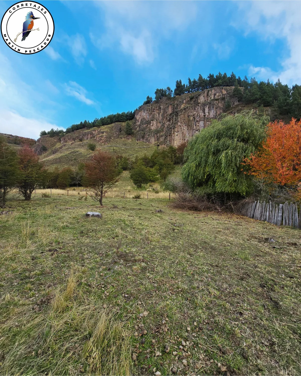 Parcela en Venta en Coyhaique | 5000 m² | $29.500.000 - 2
