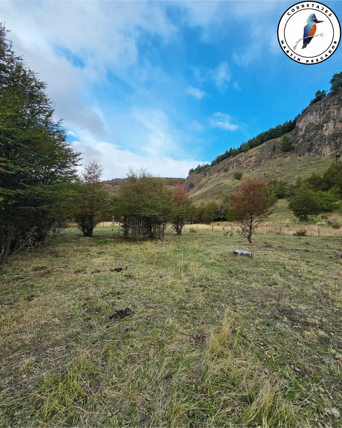 Parcela en Venta en Coyhaique | 5000 m² | $29.500.000 - 3