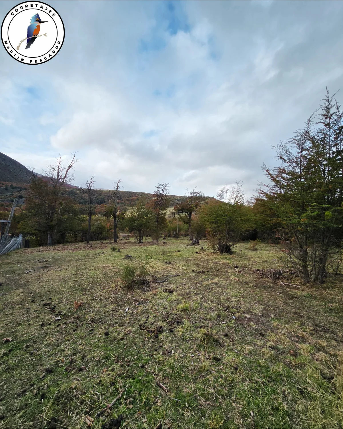 Parcela en Venta en Coyhaique | 5000 m² | $29.500.000 - 4