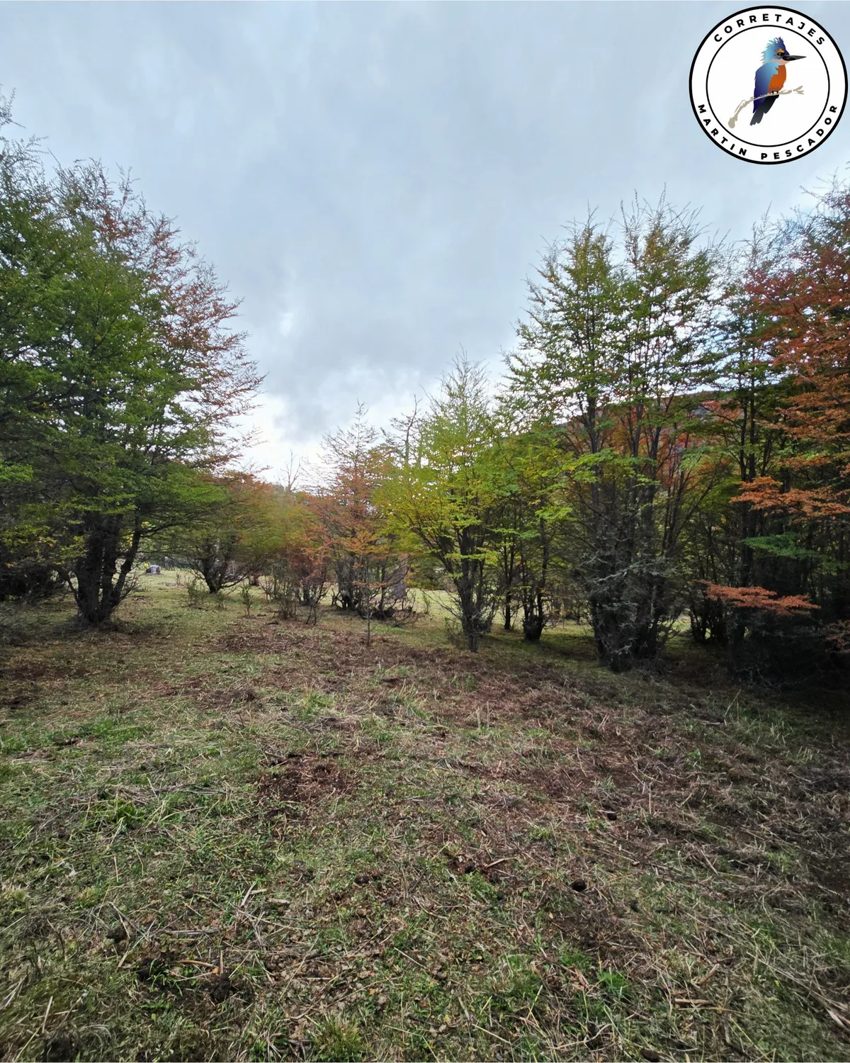 Parcela en Venta en Coyhaique | 5000 m² | $29.500.000 - 6
