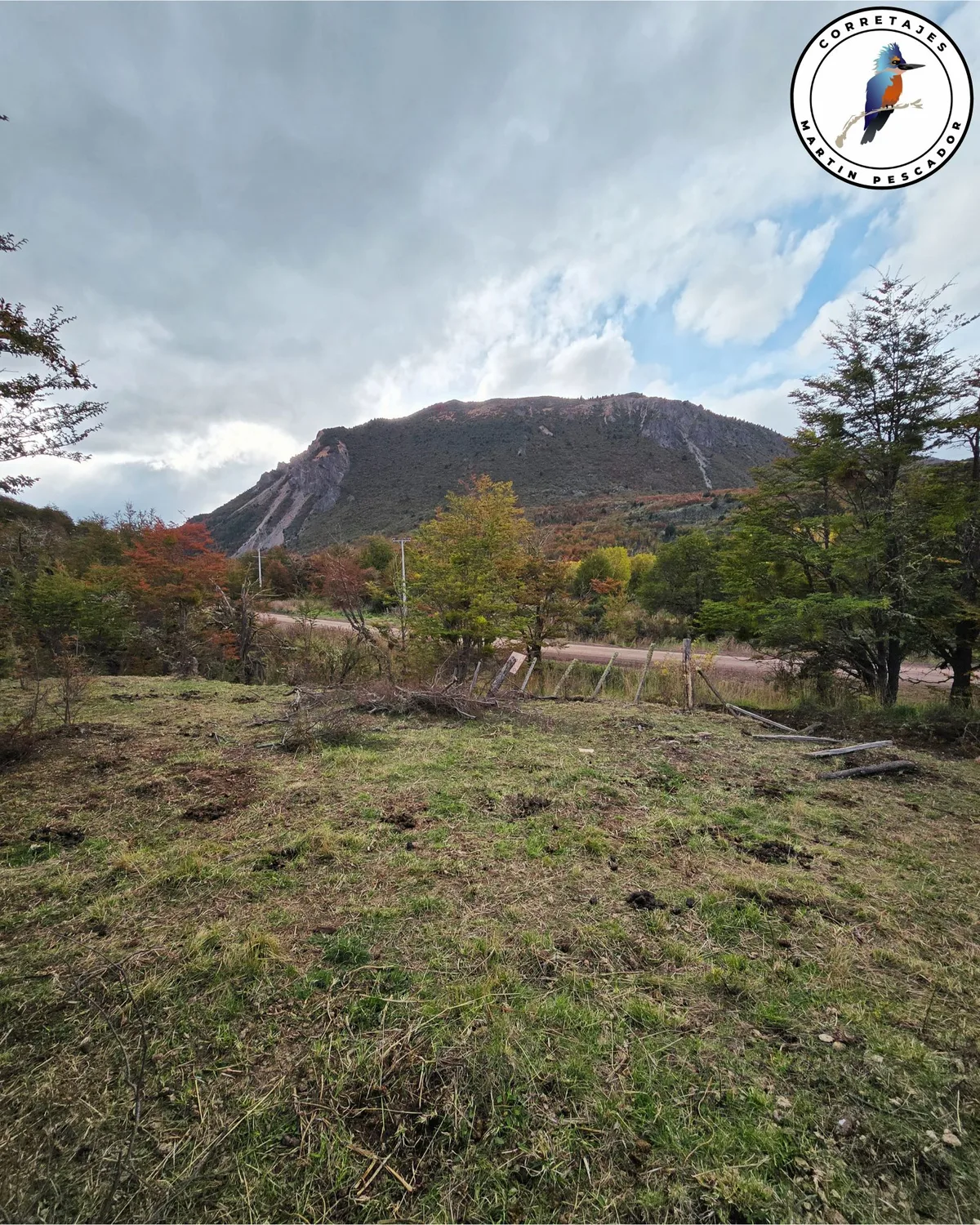 Parcela en Venta en Coyhaique | 5000 m² | $29.500.000 - 7