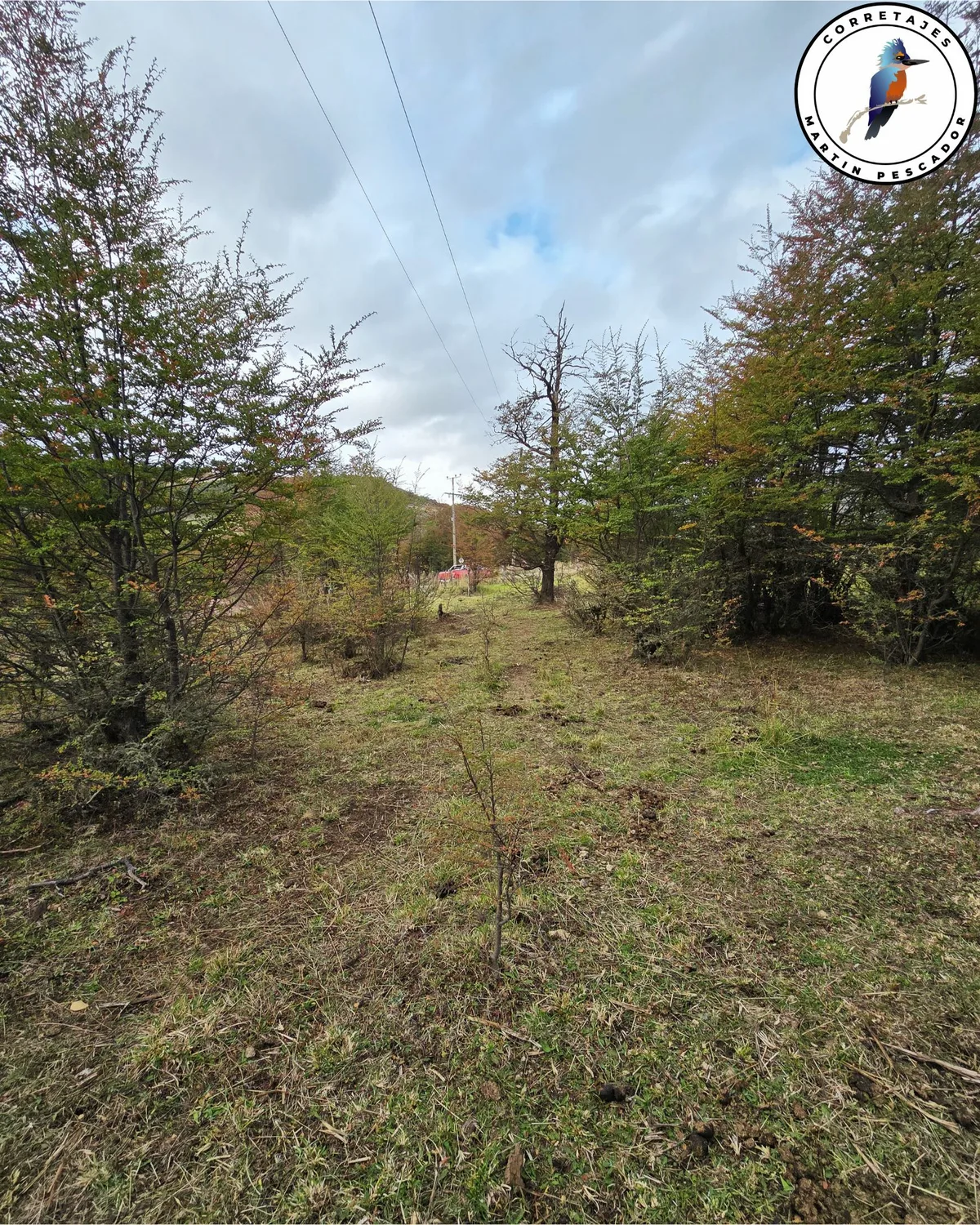 Parcela en Venta en Coyhaique | 5000 m² | $29.500.000 - 8