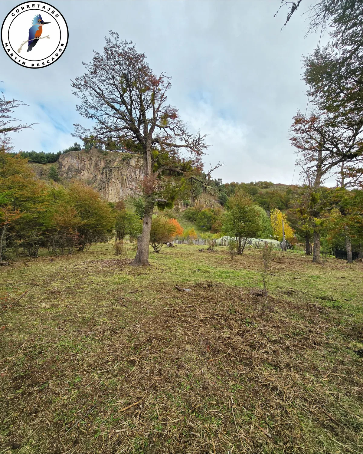 Parcela en Venta en Coyhaique | 5000 m² | $29.500.000 - 9
