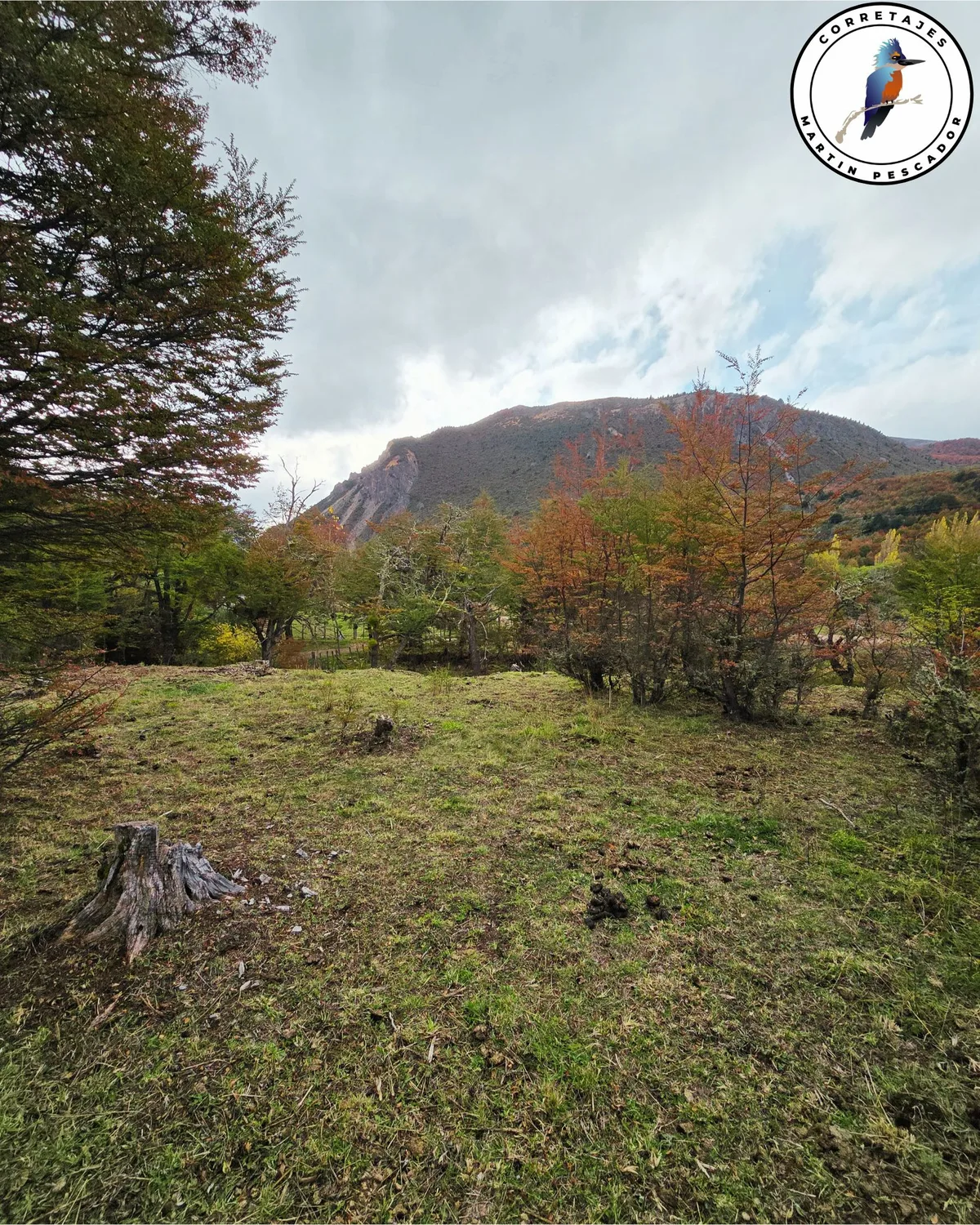 Parcela en Venta en Coyhaique | 5000 m² | $29.500.000 - 10