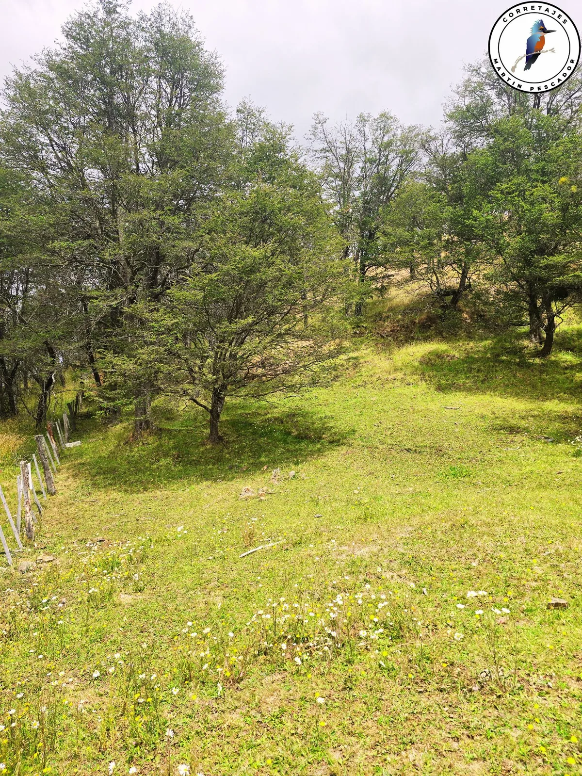 Terreno en Venta en Coyhaique | 5000 m² | $180.000.000 - 4