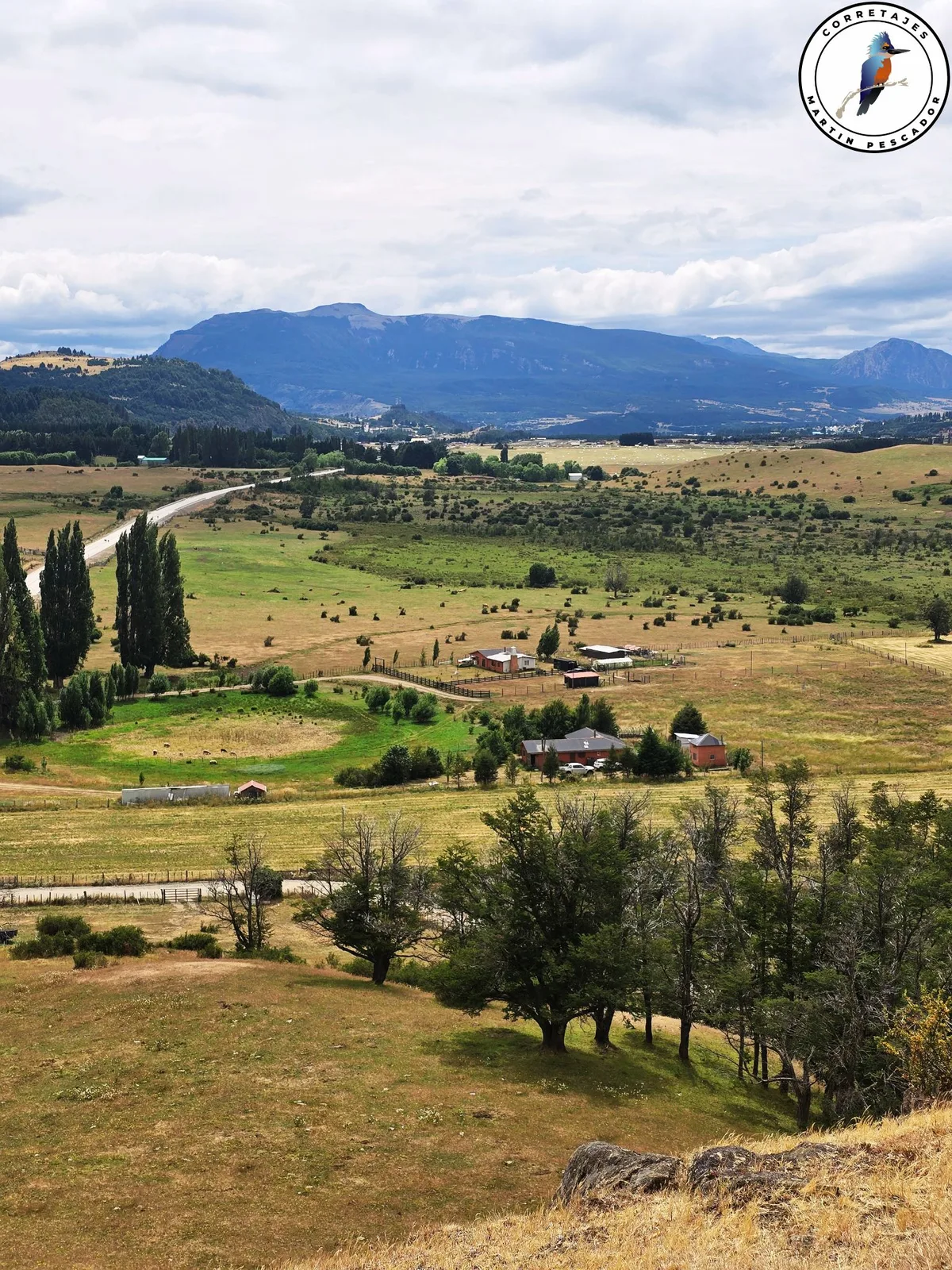 Terreno en Venta en Coyhaique | 5000 m² | $180.000.000 - 6