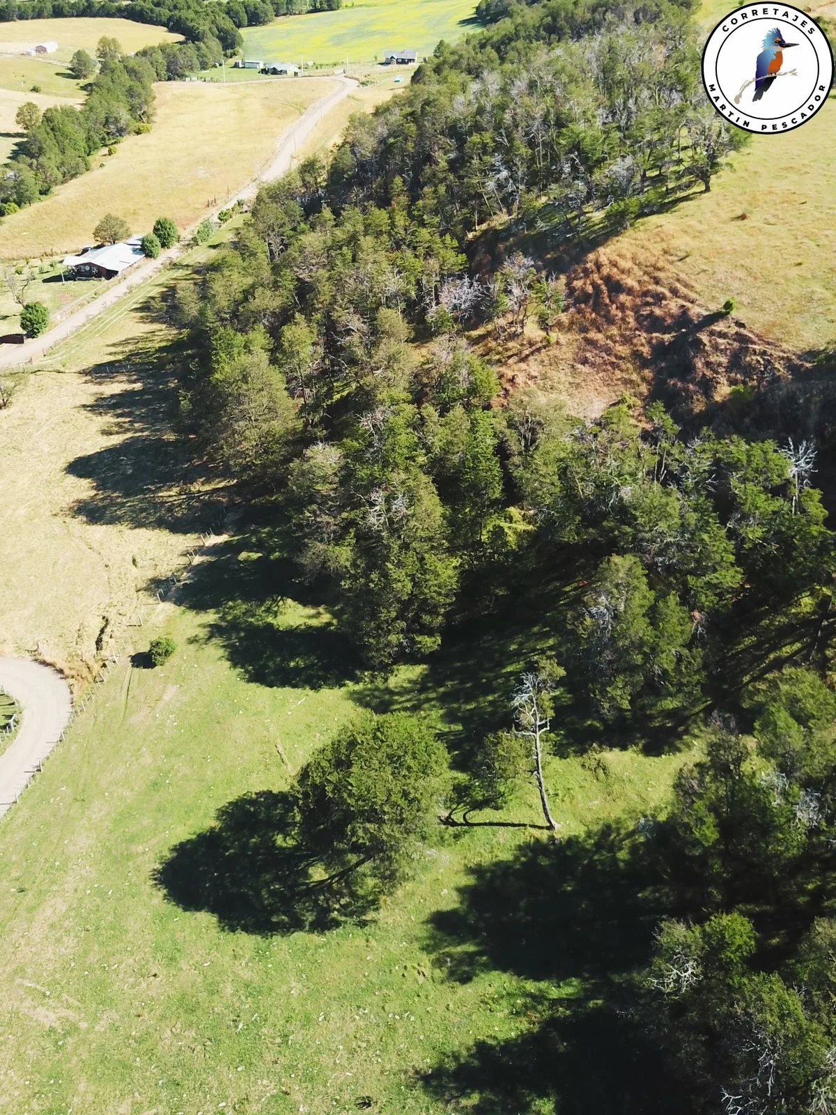 Terreno en Venta en Coyhaique | 5000 m² | $180.000.000 - 9