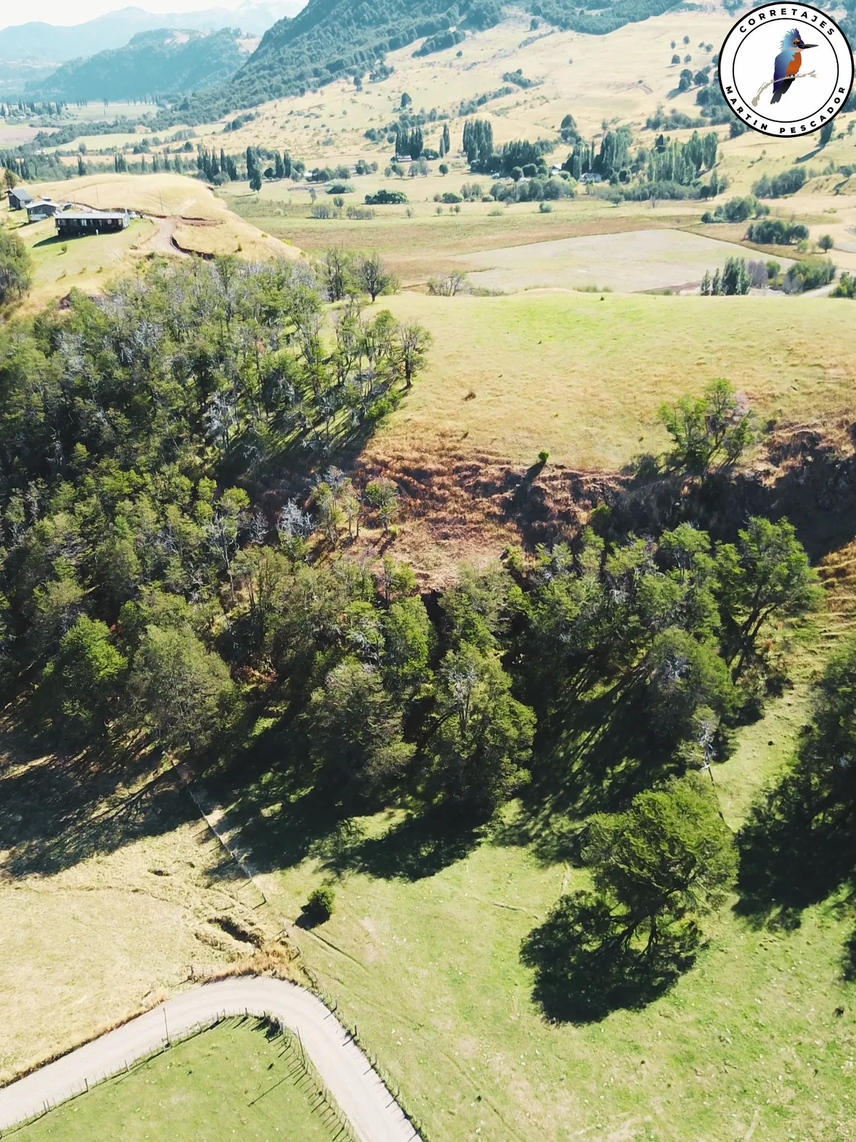 Terreno en Venta en Coyhaique | 5000 m² | $180.000.000 - 10