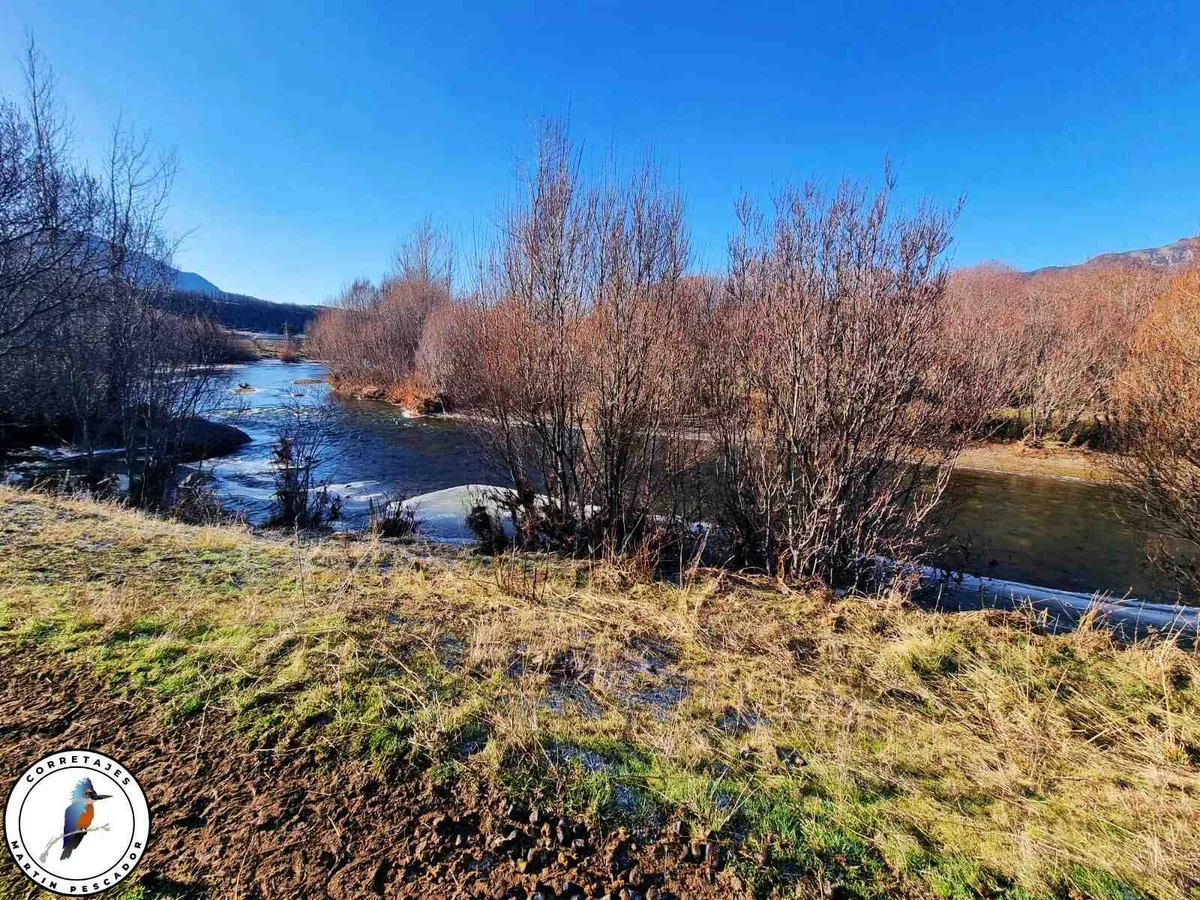 Parcela en Venta en Coyhaique | 5000 m² | UF 1.915 - 10